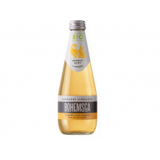 Bio Zahradní limonáda bezový květ a meduňka 330 ml